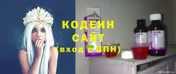 apvp Козельск