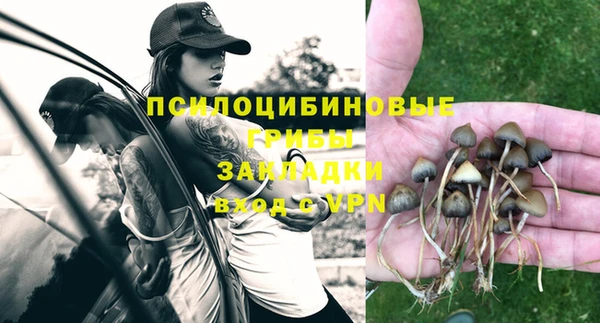 прущая мука Козловка