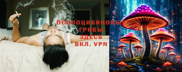 apvp Козельск